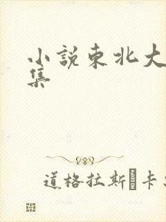 小说东北大炕全集封面