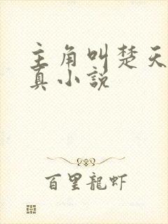 主角叫楚天的修真小说封面