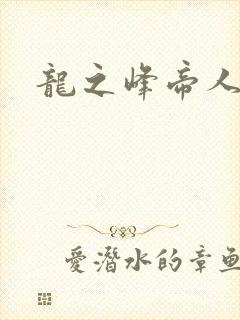 龙之峰帝人封面