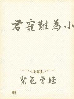 君宠难为小说封面