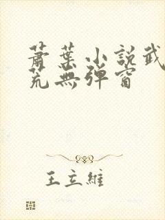 萧叶小说武破九荒无弹窗