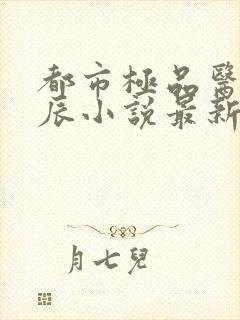 都市极品医神叶辰小说最新章节