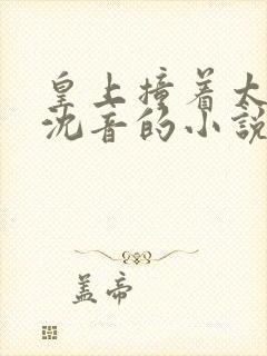 皇上撞着太子妃沈音的小说叫什么