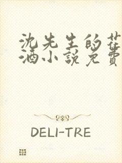 沈先生的花式调酒小说免费阅读