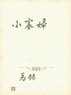 小寡妇