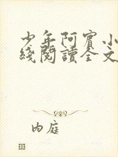 少年阿宾小说在线阅读全文目录