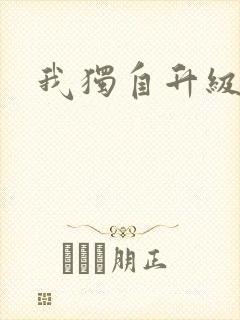 我独自升级小说