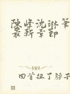 陈峰沈琳笔趣阁最新章节封面