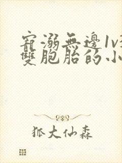 宠溺无边1v3双胞胎的小说