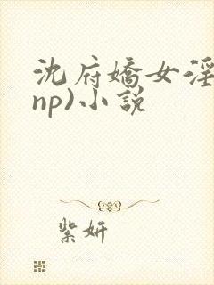 沈府娇女淫史(np)小说