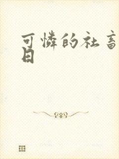 可怜的社畜东度日