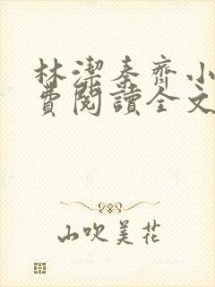 林洁秦齐小说免费阅读全文最新章节封面