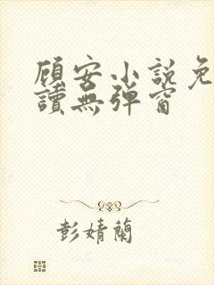 顾安小说免费阅读无弹窗