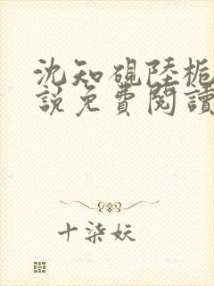 沈知砚陆栀夏小说免费阅读最新章节