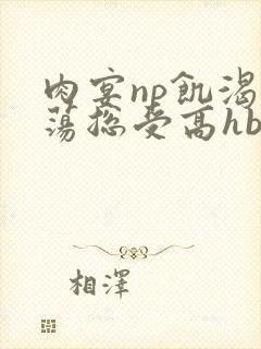 肉宴np饥渴放荡总受高hbl