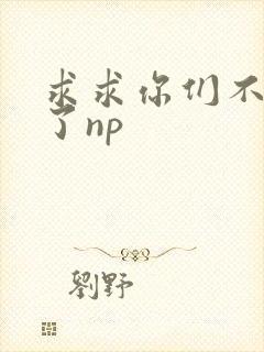 求求你们不要做了np