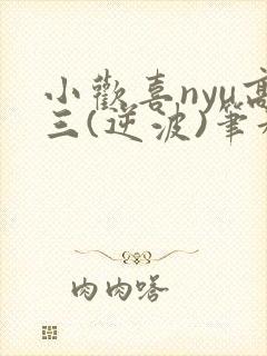 小欢喜nyu高三(逆波)笔趣阁封面