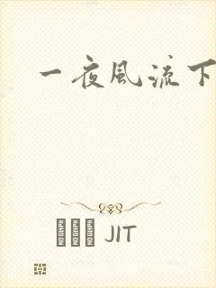 一夜风流下载