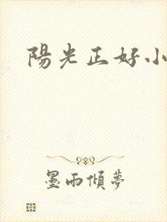 阳光正好小说封面