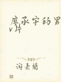 廖承宇的男男gv片