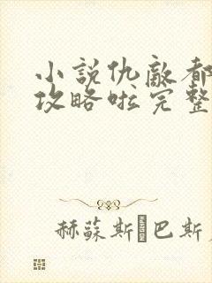 小说仇敌都被我攻略啦完整版未删减小说封面