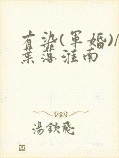 有染(军婚)/叶落淮南