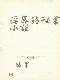 淫辱的秘书调教小说封面