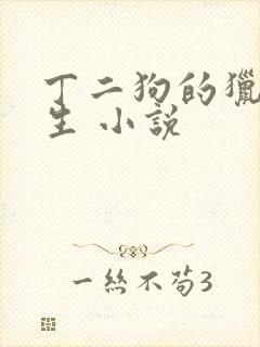 丁二狗的猎艳人生 小说