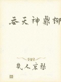 吞天神鼎柳无邪