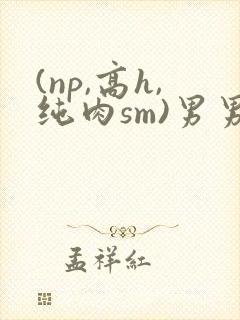 (np,高h,纯肉sm)男男