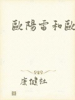 欧阳雷和欧阳凝封面