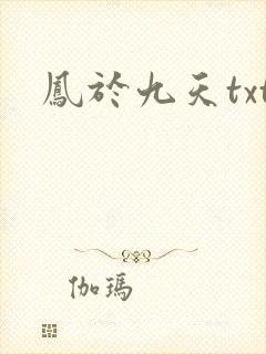 凤于九天txt封面