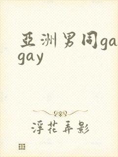 亚洲男同gaygay