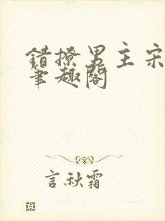 错撩男主宋云锦笔趣阁封面