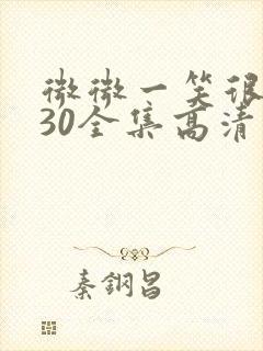 微微一笑很倾城30全集高清