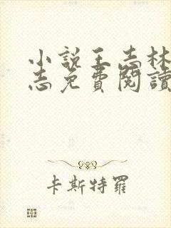 小说王志林姨王志免费阅读全文最新