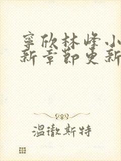 宁欣林峰小说最新章节更新笔趣阁