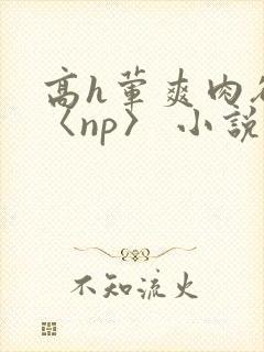 高h荤爽肉欲文〈np〉 小说