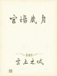 官场岁月
