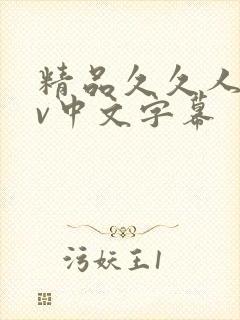 精品久久人妻av中文字幕