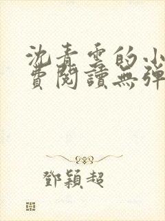 沈青云的小说免费阅读无弹窗封面