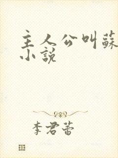 主人公叫苏诚的小说