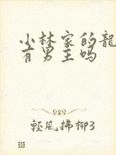 小林家的龙女仆有男主吗