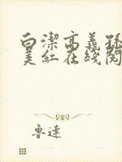 白洁高义孙倩王美红在线阅读小说封面