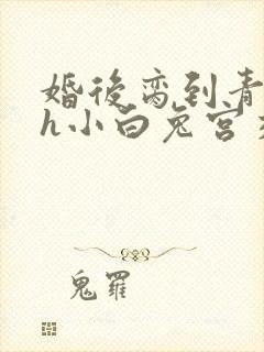 婚后脔到青梅哭h小白兔宫交h