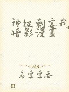 神级刺客我即是暗影漫画