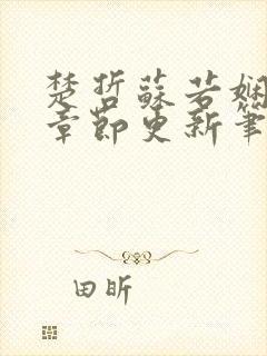 楚哲苏若娴最新章节更新笔趣阁