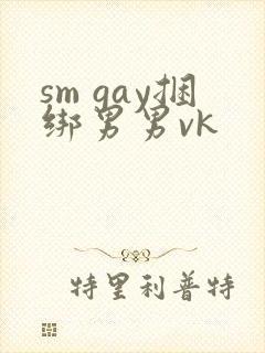 sm gay捆绑男男vk