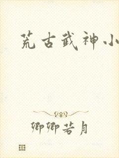 荒古武神小说