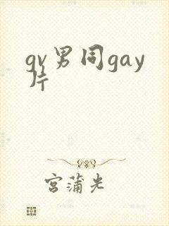 gv男同gay片封面